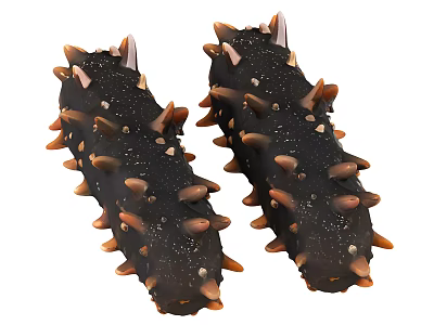 Two Fresh Black Sea Cucumbers With Brown Spines And Textured Surface 3d model