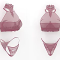 Women's Purple Sheer Lace Lingerie Set With Bra And Panties Design