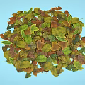 Natural Garden Decor Featuring Colorful Autumn Leaves In Various Shades And Hues