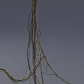 Wiry Twisted Vines Showcasing Natural Curved Lines And Spiral Growth Patterns