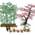 Ornamental Flowering Tree with Pink Blossoms Bamboo and Decorative Plants