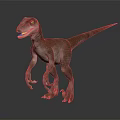 Realistic Velociraptor Dinosaur Standing With Open Mouth 3D Model On Black Background 3d model