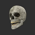 Human Skull With Grayish White Surface Cracks And Visible Teeth On Dark Background