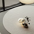 Light Colored Square Rug with Potted Plant and Decorative Ball in Indoor Space