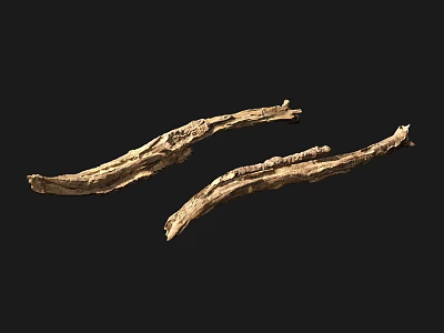 Modern wood shavings 3d model Modern wood shavings 3d model