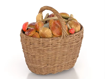 Mushrooms, Straw mushrooms, mushrooms, boletus, Ganoderma lucidum, basket of mushrooms, basket of mushrooms 3d model
