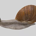 Reptile On Grey Background With Brown Shell Grey Body And Two Antennae