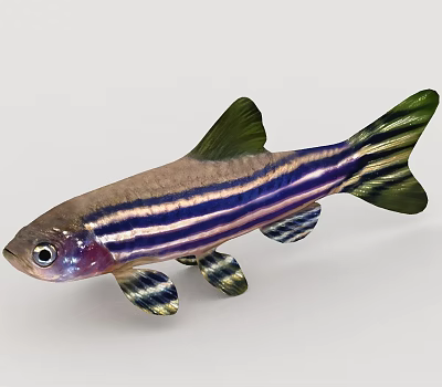 Vibrant Striped Fish With Blue Purple Stripes Green Fins And Silver Brown Body 3d model