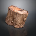Plant Based Natural Tree Stump With Rustic Wood Texture For Home Decor