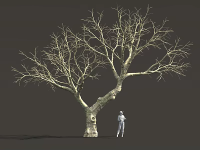 Tall Leafless Tree With Thick Trunk Detailed Branches And Standing Person 3d model