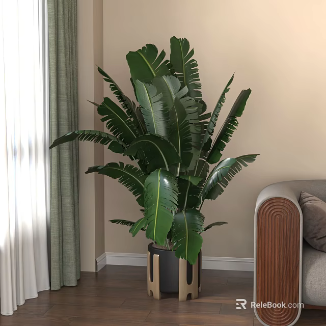 Large Indoor Potted Plant With Green Banana Leaves In Stylish Pot For Living Room Decor 3d model 