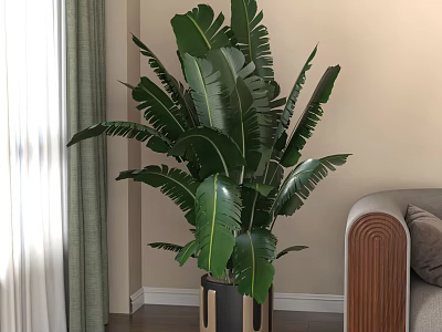 Large Indoor Potted Plant With Green Banana Leaves In Stylish Pot For Living Room Decor 3d model