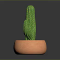 Green Cactus Potted Plant in Orange Clay Pot for Indoor Home Decoration