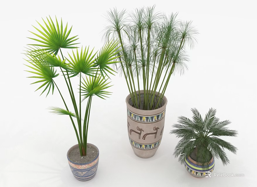 Indoor Palm Plants In Decorative Ceramic Pots With Lush Green Leaves 3d model 