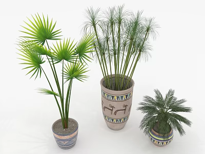 Indoor Palm Plants In Decorative Ceramic Pots With Lush Green Leaves 3d model