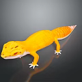Lizard Anime Lizard Chameleon Cartoon Lizard Reptile Cold Blooded Animal Reptile Class 3d model
