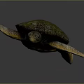 Modern Turtle Small Turtle Green Turtle Big Turtle Black Turtle 3d model