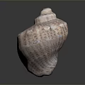 Aquatic Animal Spiral Seashell with Brown White Patterns and Textured Surface 3d model