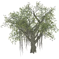 Modern Tree Banyan Tree 3d model