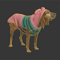Brown Dog Wearing Pink And Teal Striped Outfit With Pig Ear Decorations