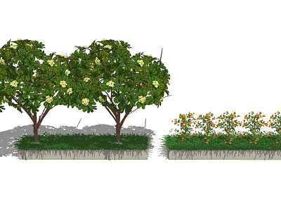 Lush Garden With Green Leafy Trees White Flowers Low Yellow Blooms And Grass 3d model