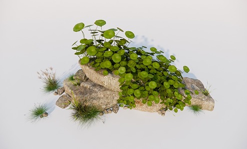 Modern Landscape Stone Plant Landscape 3d model