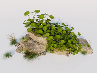 Modern Landscape Stone Plant Landscape 3d model