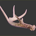 Animal Wall Decor with Natural Antler Design for Rustic Home Decoration