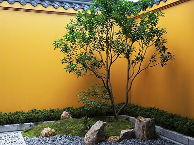 Modern stone courtyard landscape wall landscape corner rockery plant heap Zen landscape plant landscaping landscape tree Zen sketch model