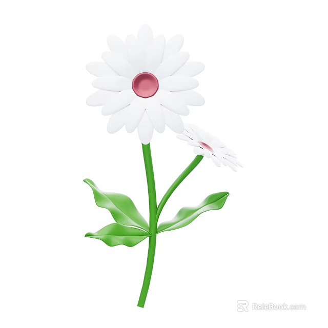 White Flower Plant With Red Centers Green Stems Leaves And Two Blooms 3d model 