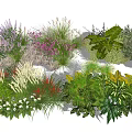 Vibrant Garden Flowers And Grasses With Ferns Herbs And Ornamental Plants