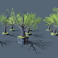 Cartoon Scene Featuring Green Leaf Trees And Mossy Stone Bases 3d model