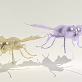 Golden and Purple Insect Creatures With Shiny Wings and Long Legs On White Surface