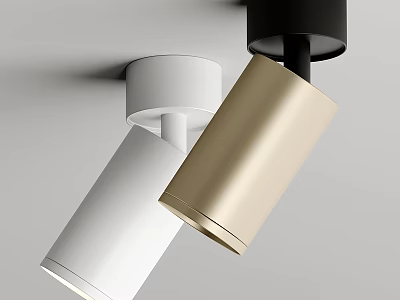 Modern Sleek White Gold Black Downlights Spotlights for Interior Home Lighting Design 3d model