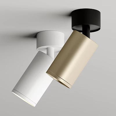 Modern Sleek White Gold Black Downlights Spotlights for Interior Home Lighting Design 3d model
