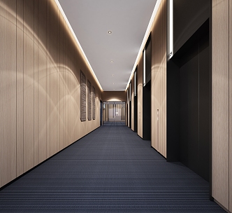 Modern elevator hall elevator aisle corridor public area characteristic office building elevator 3d model