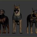 Three Dogs of Various Breeds With One Wearing Green Vest in 3D Render