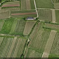 Aerial View of Rural Agricultural Landscape With Neat Farm Fields Crop Rows and Small Building