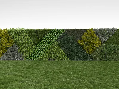 Green Plant Wall Design With Various Foliage Yellow Accents White Background And Green Lawn 3d model