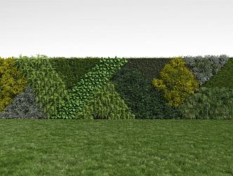 Modern Plant Wall 3d model