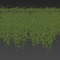 Modern Vine Vine Wall 3d model