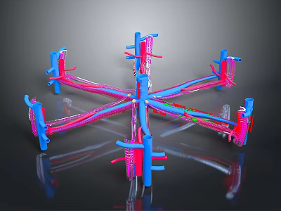 Detailed 3D Rendering of Organ and Hair with Branched Blue Pink Vascular Networks 3d model