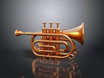 Golden Brass Trumpet with Shiny Finish and Valves on Reflective Surface for Daily Use 3d model