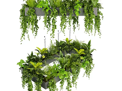 Vibrant Green Hanging Basket Plants With Cascading Vines And Cozy Indoor Home Decor 3d model