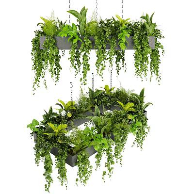 Vibrant Green Hanging Basket Plants With Cascading Vines And Cozy Indoor Home Decor 3d model