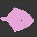 Detailed Brown Flounder Fish With Red Body Part On Gray Background