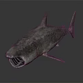 Realistic Shark 3D Model With Open Mouth And Sharp Teeth Against Dark Background 3d model