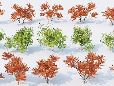 modern shrub shrub assemblage 3d model
