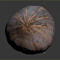 Colorful Striped Orange And Purple Pumpkin With Glossy Surface On Reflective Smooth Background