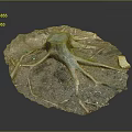 Rustic Wooden Tree Stump Decor With Natural Stone Base And Exposed Roots Design